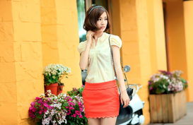 2012夏季新风尚 韩版OL通勤修身显瘦雪纺衬衫